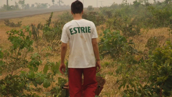 The Nacirema Effect: What Living in Brazil Taught Me About Consulting