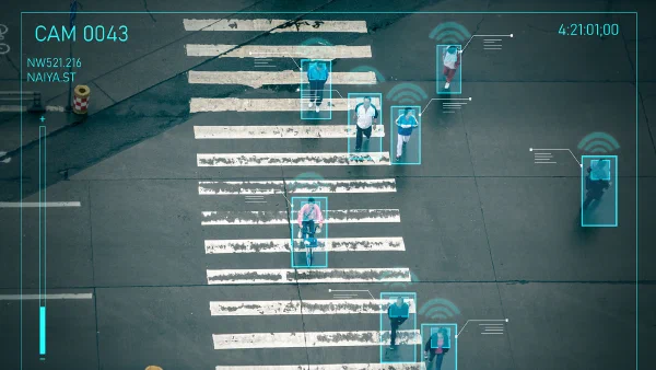 Artificial Intelligence Training Interface